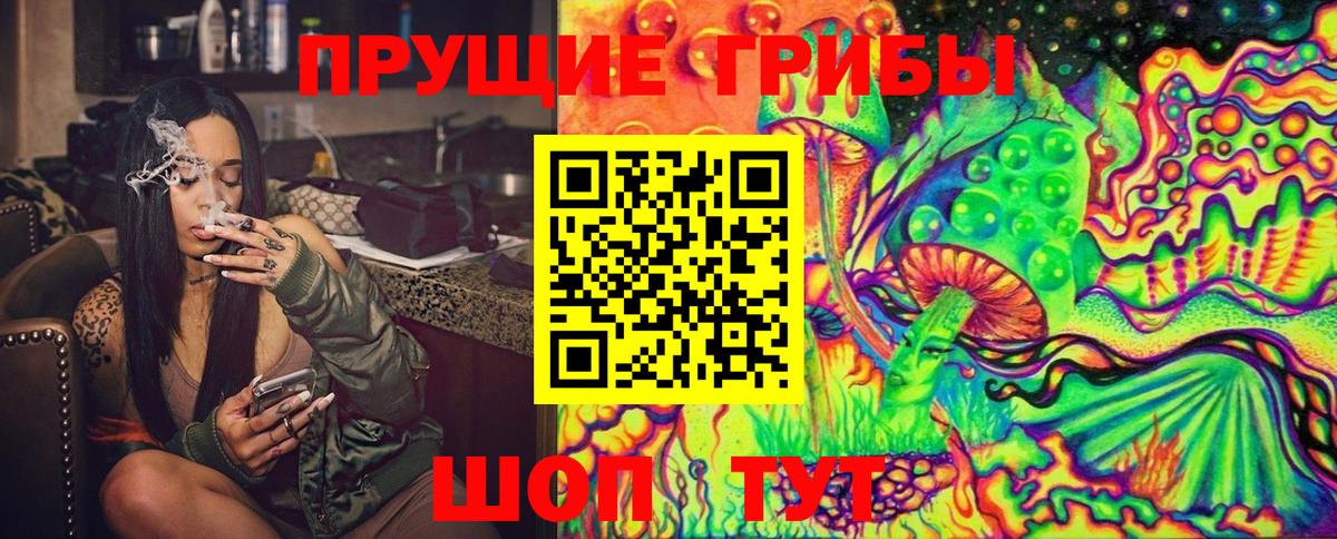 Сальск  Галлюциногенные грибы Psilocybine cubensis  Вход с VPN 